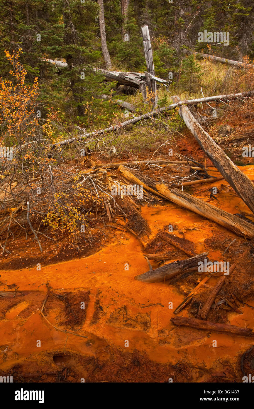The incredible ochre colours in the soil in the Paint pots in Yoho