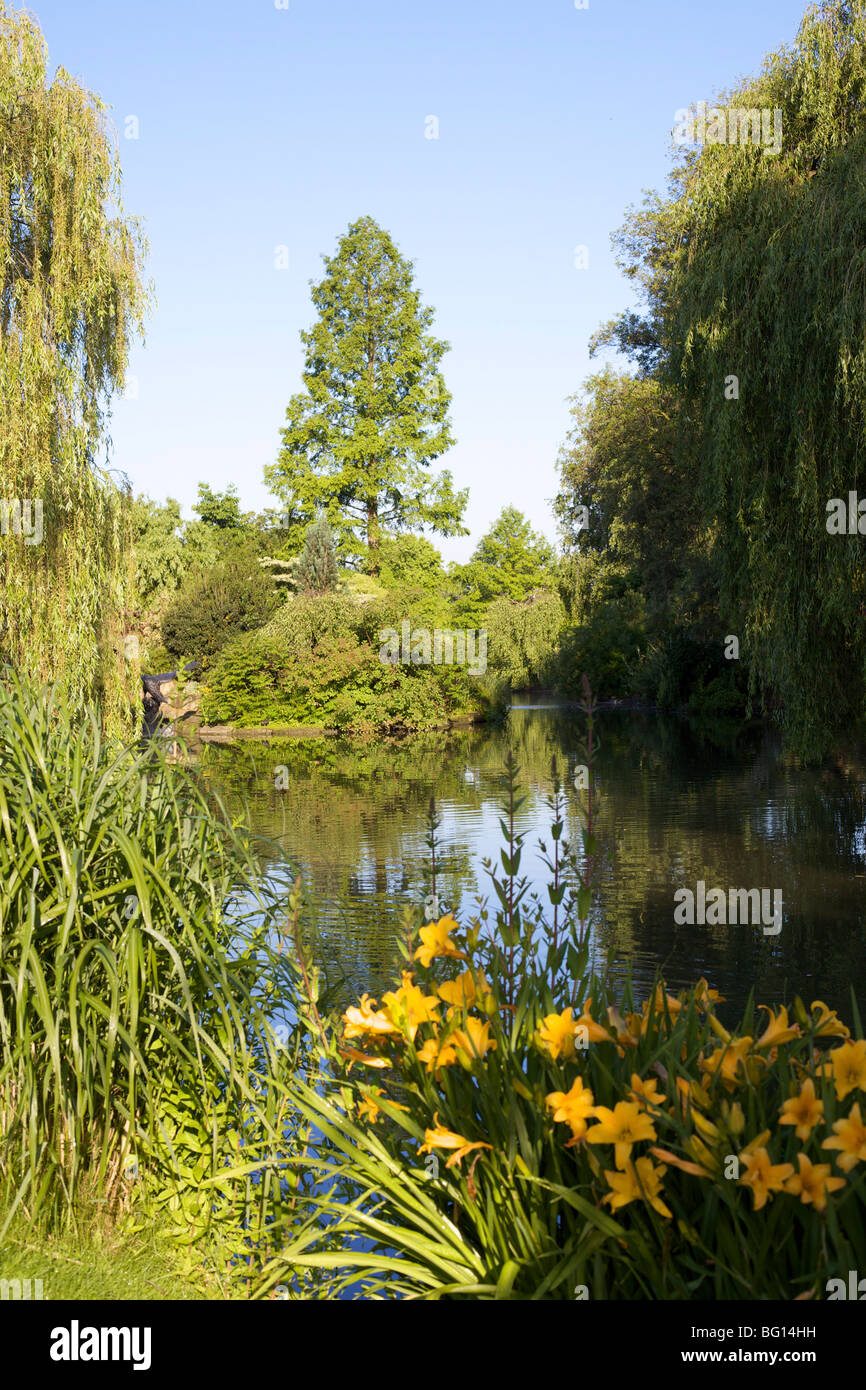A pond in Queen Marys Gardens, Regents Park, London, England, United Kingdom, Europe Stock Photo