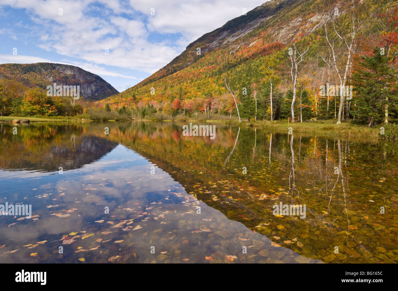 Autumn colours reflected in Willey Pond, Crawford Notch State Park