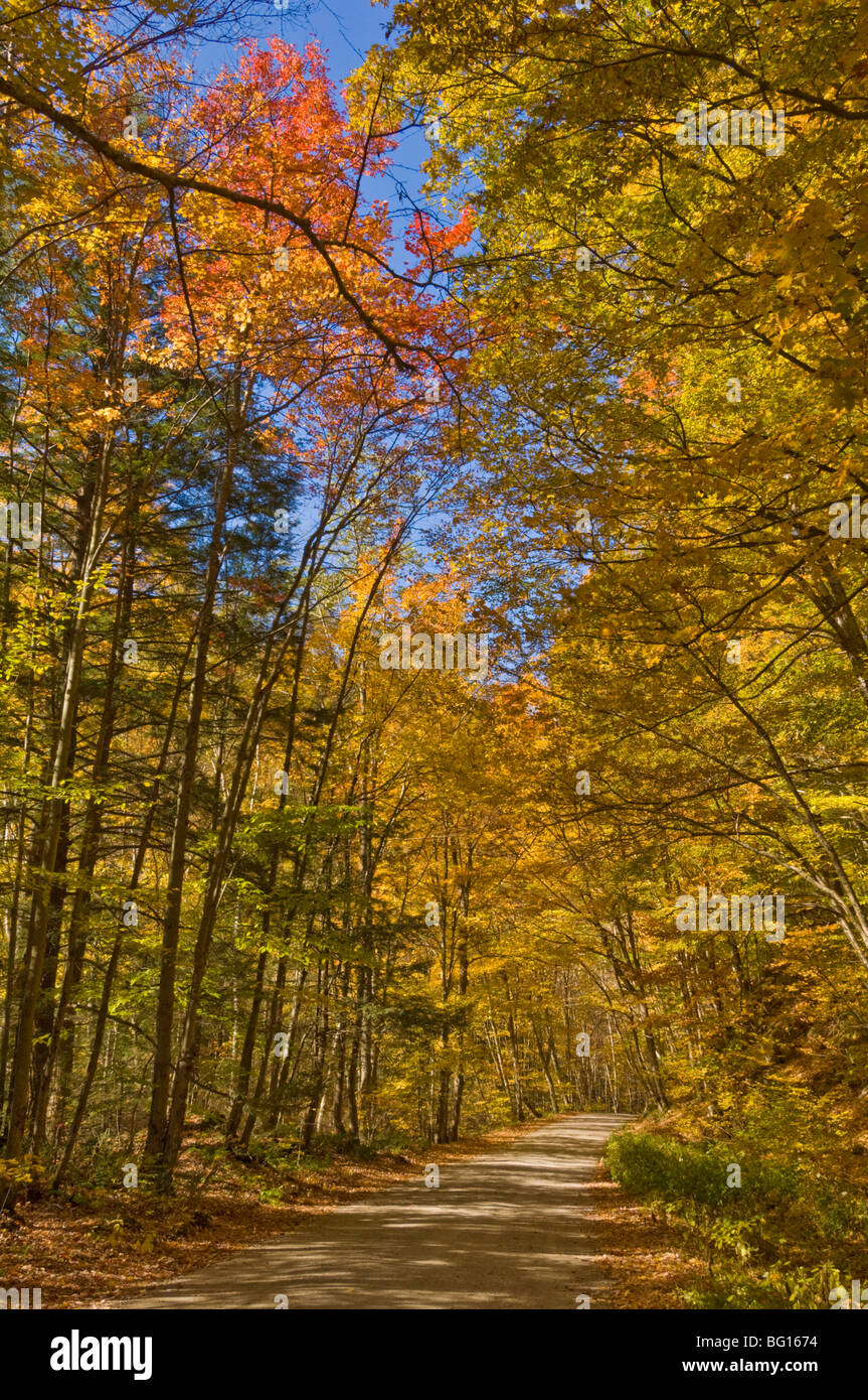 Autumn fall colours, Vermont back country road near West Arlington, Virginia, United States of America, North America Stock Photo