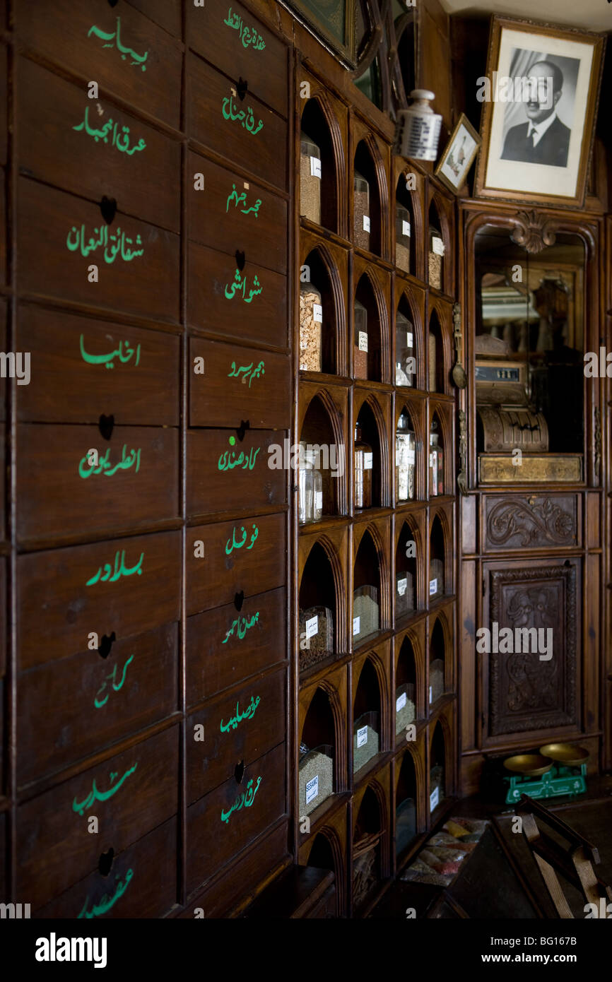 Africa, Egypt, Sharm el Sheik, store spices "Karkade", natural