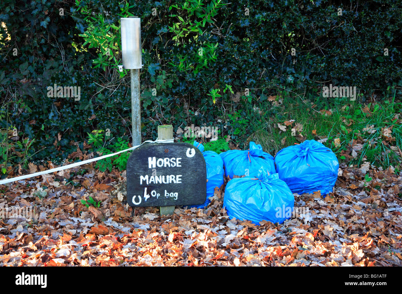 Horse manure in blue bags for sale by a country roadside in Norfolk