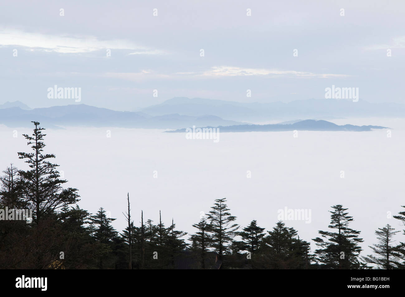 Sea of clouds at Mount Emei Shan, Mount Emei Scenic Area, UNESCO World Heritage Site, Sichuan Province, China, Asia Stock Photo