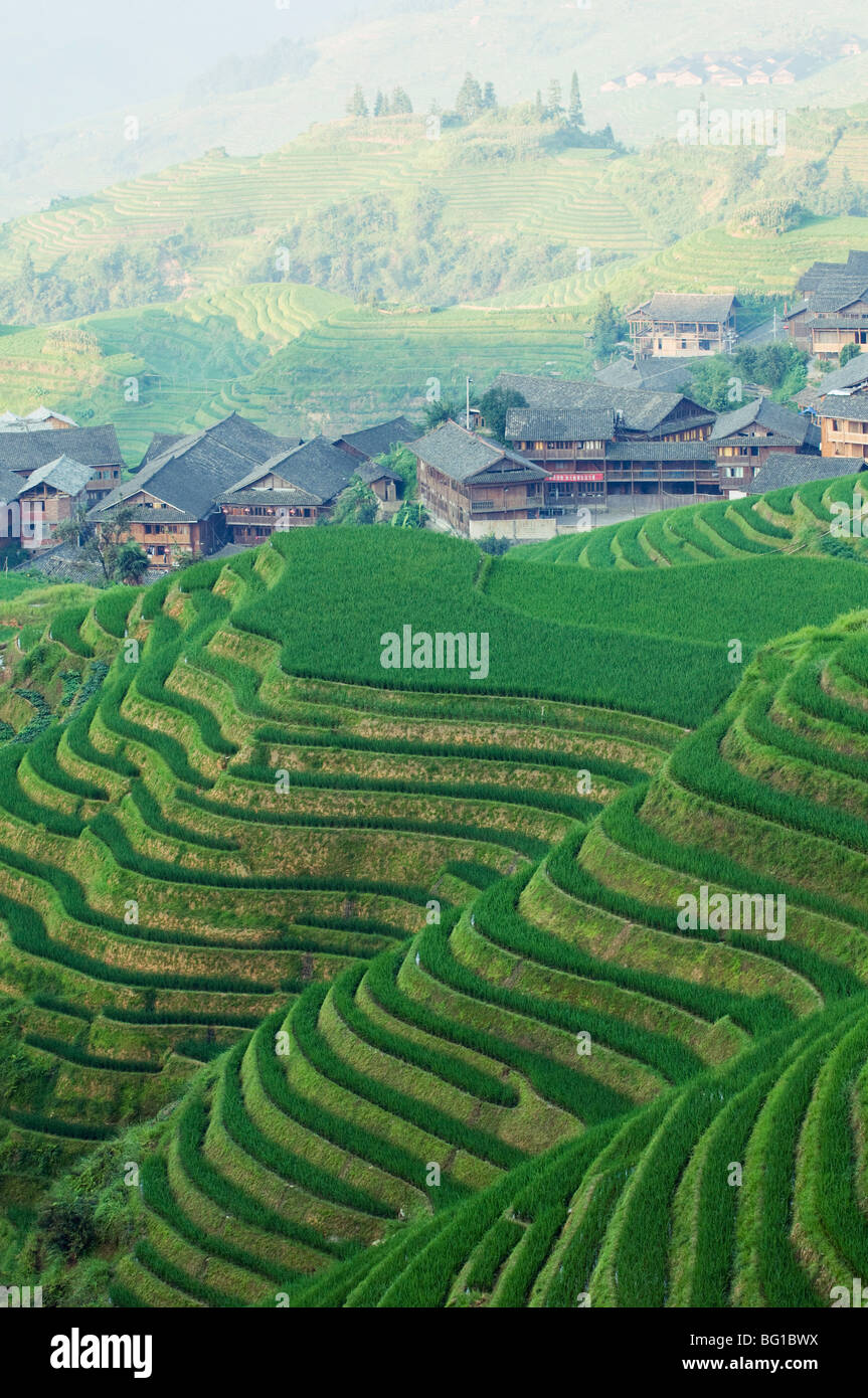 Dragons Backbone rice terraces, Longsheng, Guangxi Province, China, Asia Stock Photo