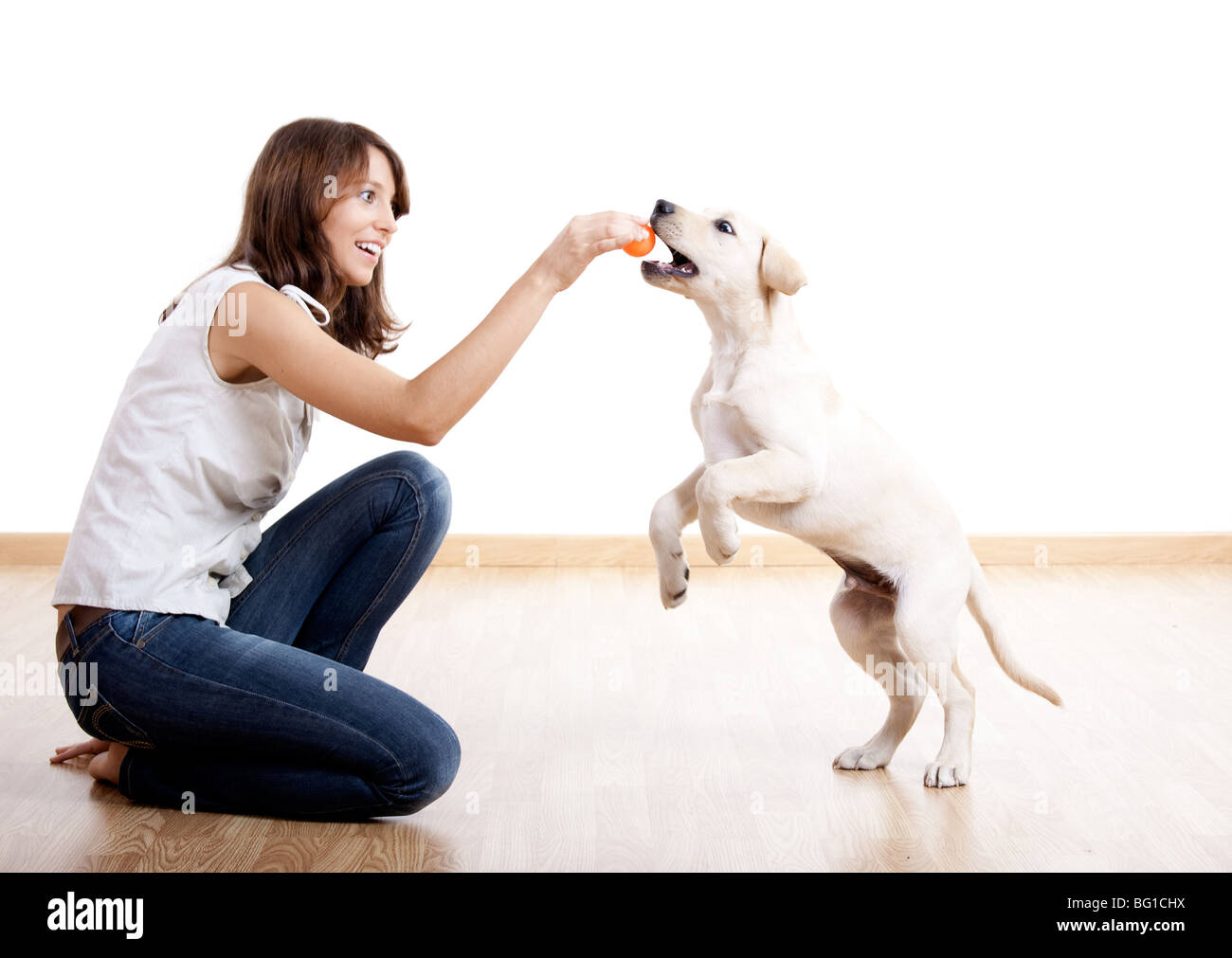 Beautiful young girl playing with a nice cute dog Stock Photo