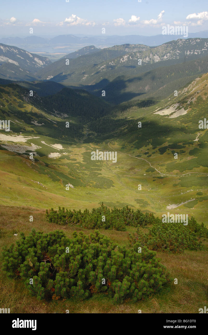 Looking down Siroka dolina valley from Demanovske sedlo below dumbier peak  in the low tatra mountains slovakia Stock Photo - Alamy