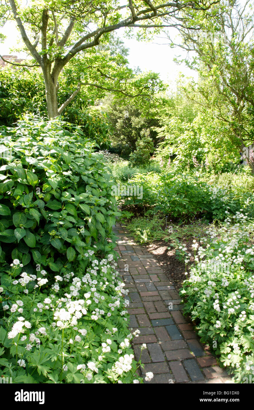 Garden design herbaceous border hi-res stock photography and images - Alamy