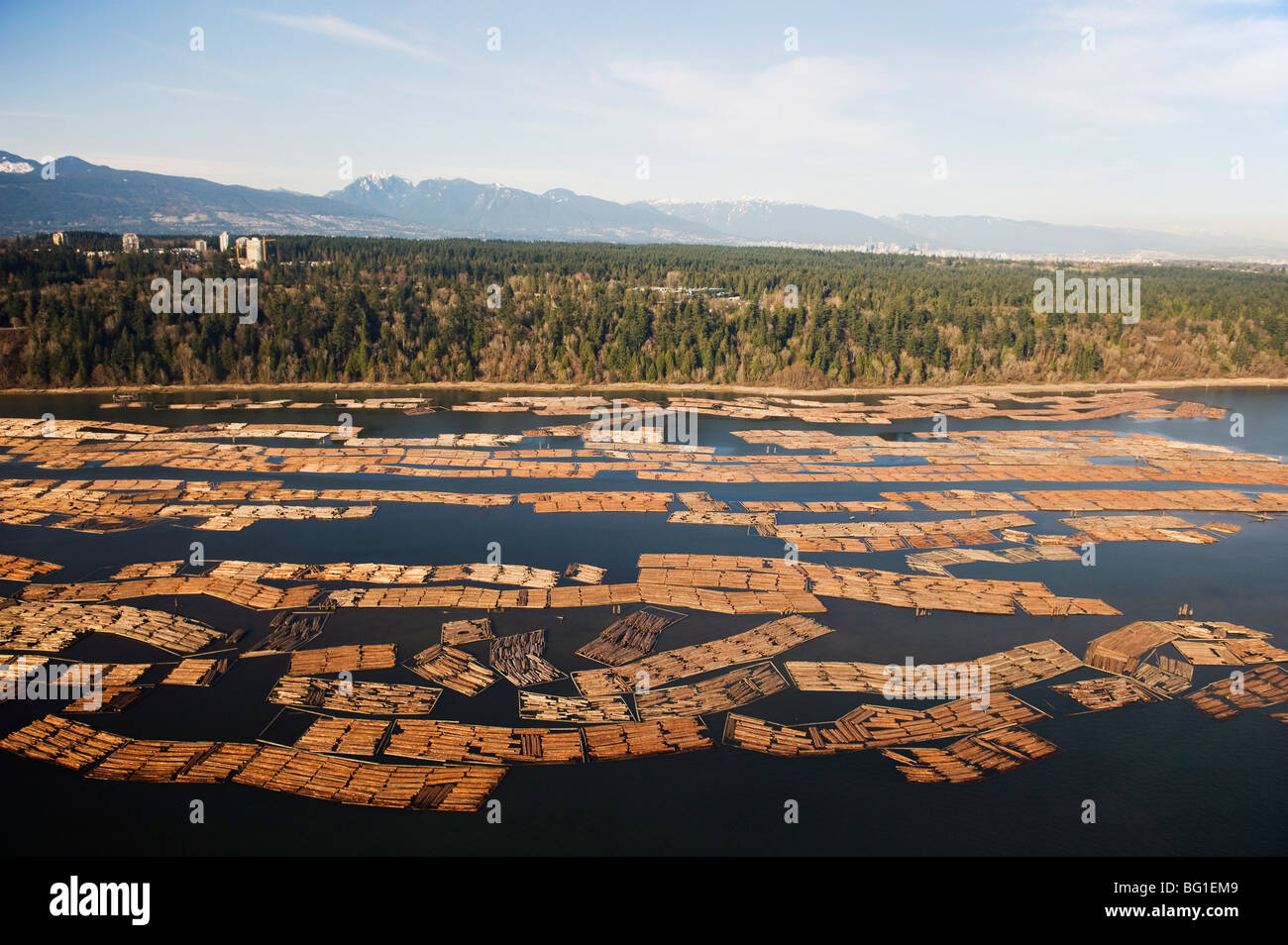 Aerial view of cut logs in the sea waiting to be transported, Vancouver, British Columbia, Canada, North America Stock Photo