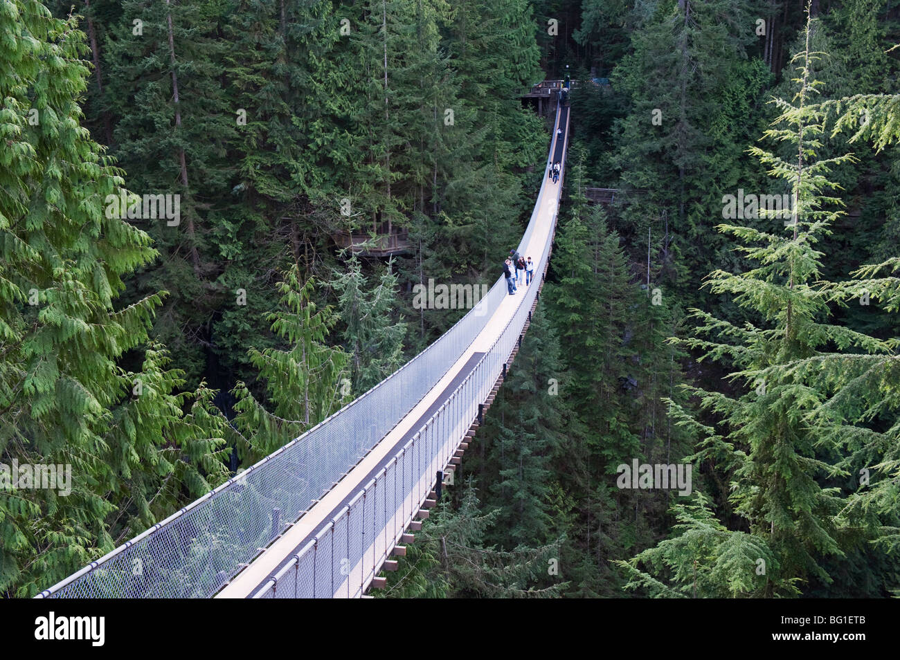 Tourists in Capilano Suspension Bridge and Park, Vancouver, British Columbia, Canada, North America Stock Photo