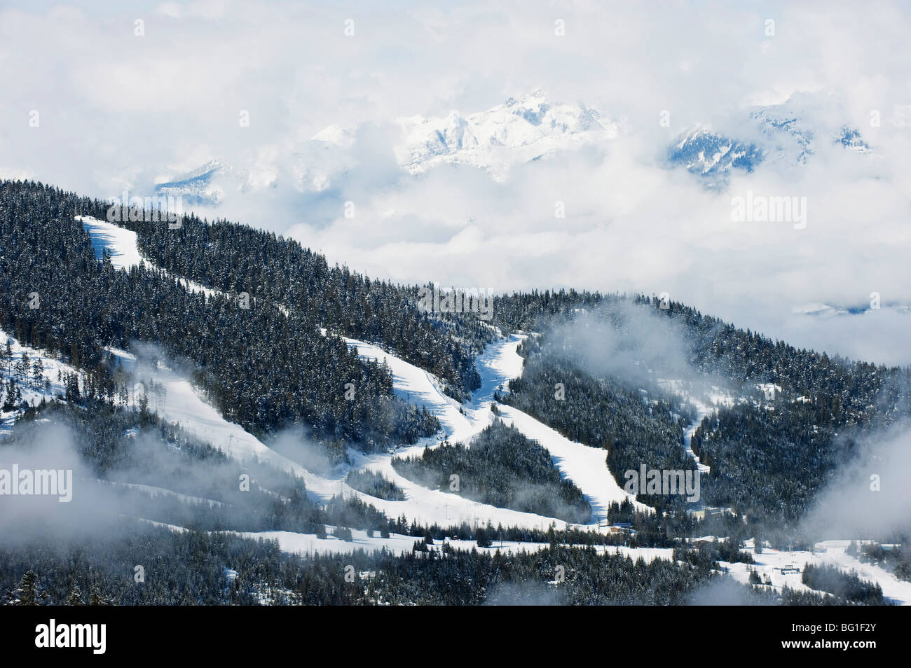Tree lined ski slopes, Whistler mountain resort, venue of the 2010 Winter Olympic Games, British Columbia, Canada, North America Stock Photo