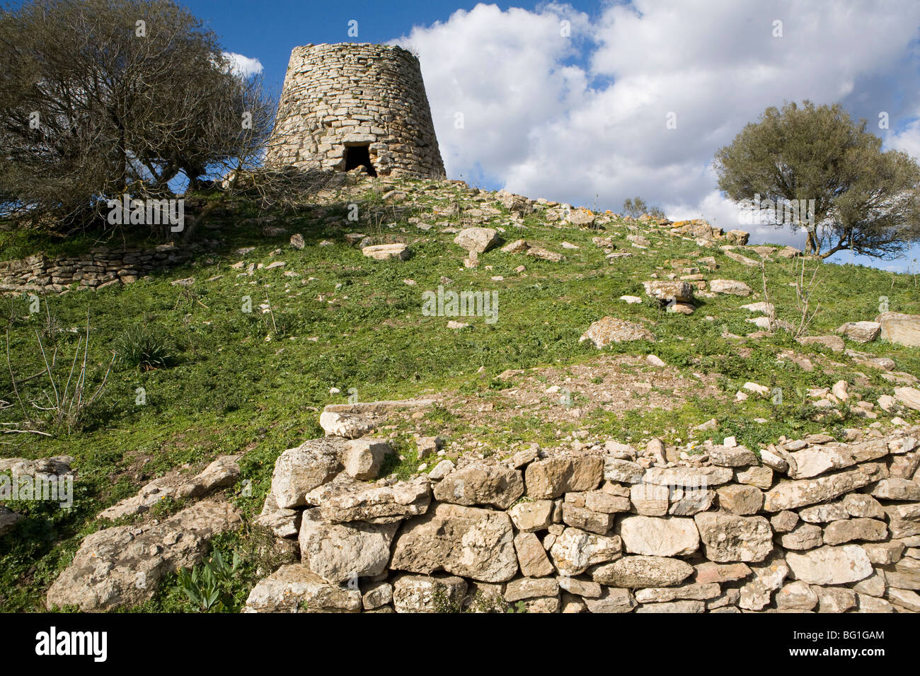 Goni hi-res stock photography and images - Alamy