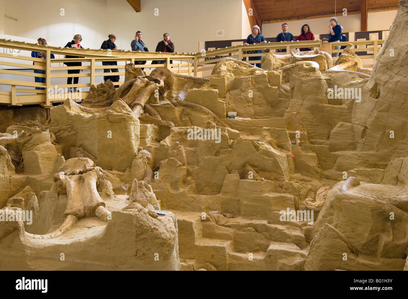 The Mammoth Site, Hot Springs, Black Hills, South Dakota, United Stock ...