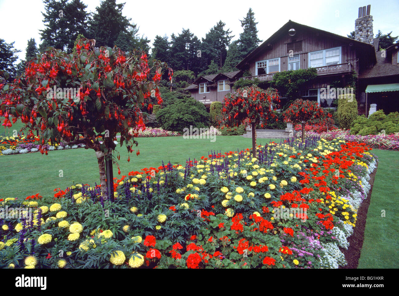 Stanley Park Pavilion, Vancouver, BC, British Columbia, Canada Flowers blooming in Flower Bed Stanley Park Pavilion, Vancouver, BC, British Columbia, Canada Flowers blooming in Flower Bed