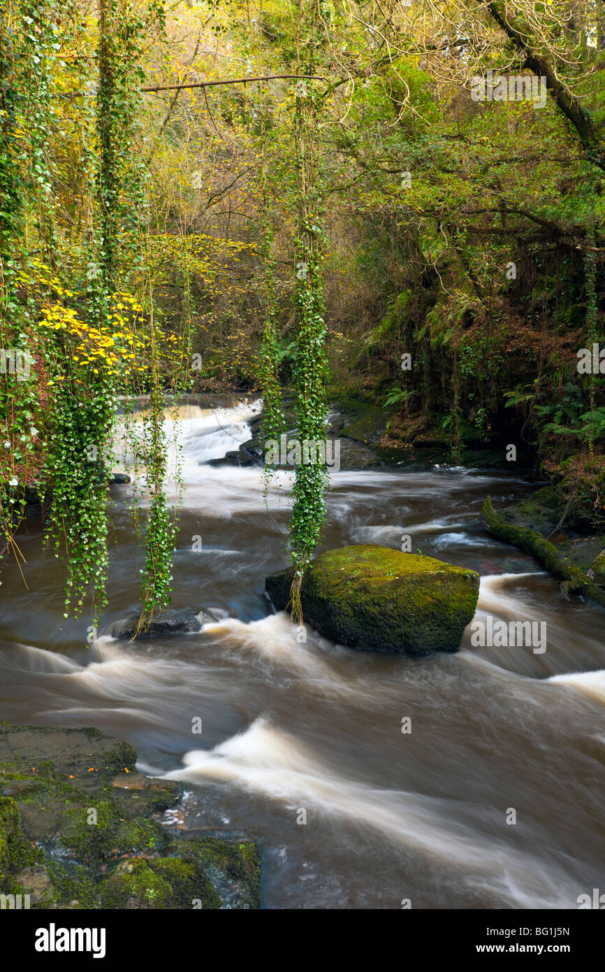 Clare River Stock Photo