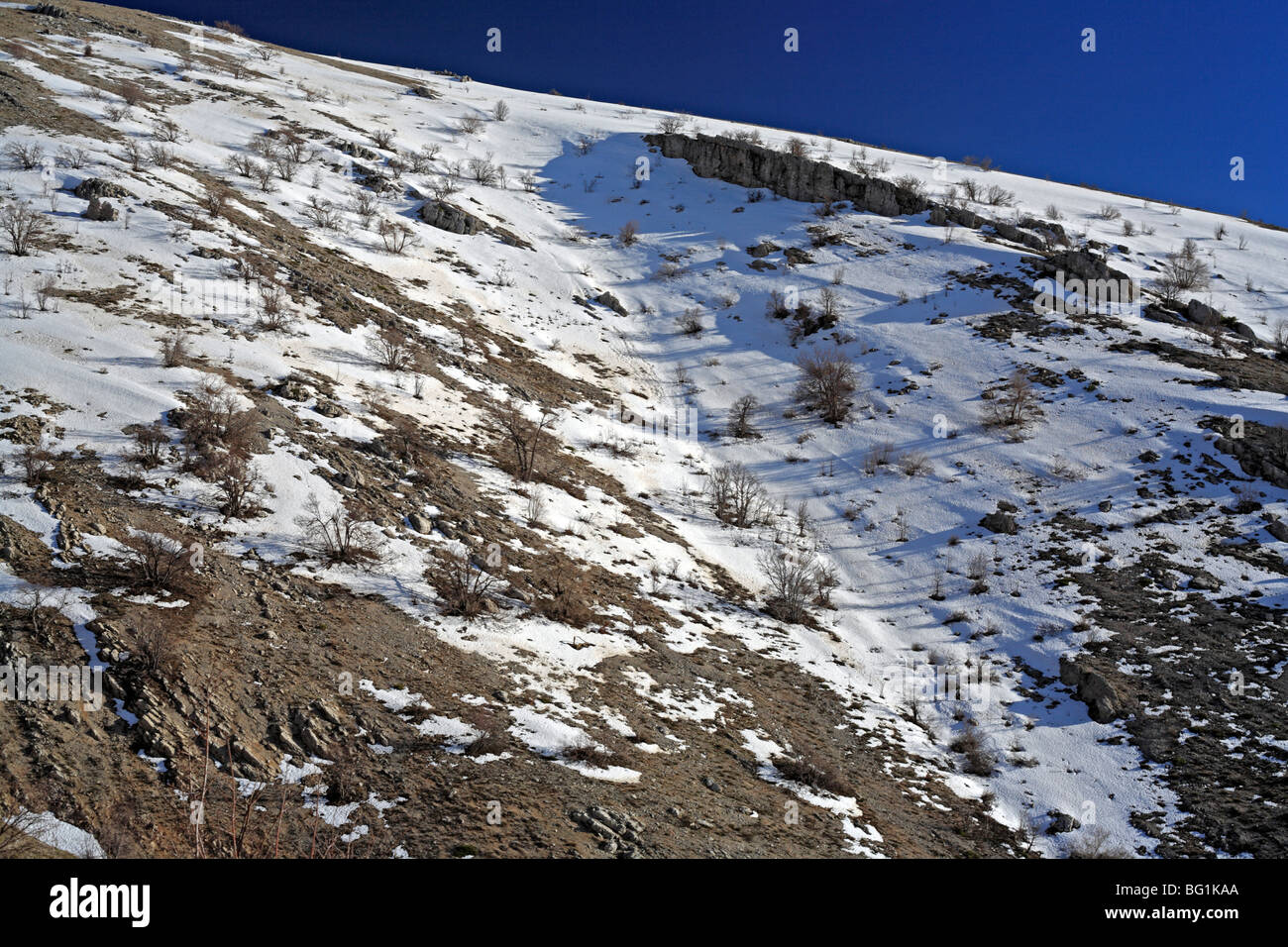 Al Shouf Cedar Nature Reserve, near Maaser esh-Shouf, Lebanon mountains, Chouf District, Lebanon Stock Photo