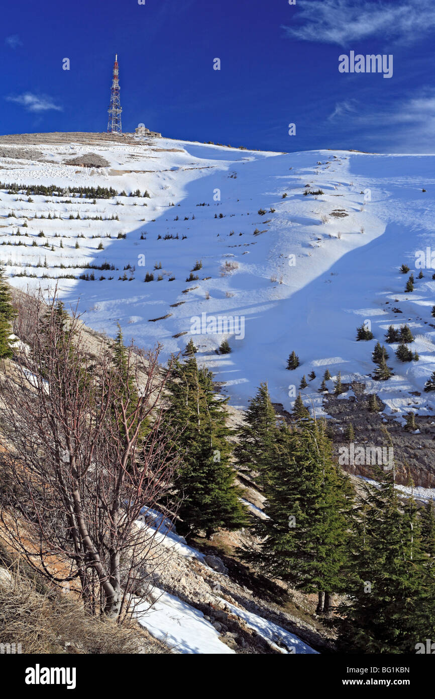 Al Shouf Cedar Nature Reserve, near Maaser esh-Shouf, Lebanon mountains, Chouf District, Lebanon Stock Photo