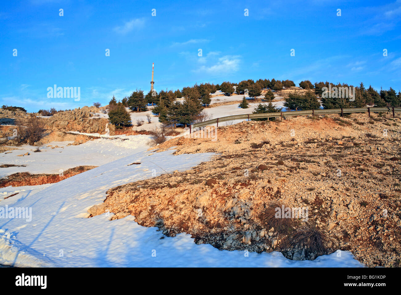 Al Shouf Cedar Nature Reserve, near Maaser esh-Shouf, Lebanon mountains, Chouf District, Lebanon Stock Photo