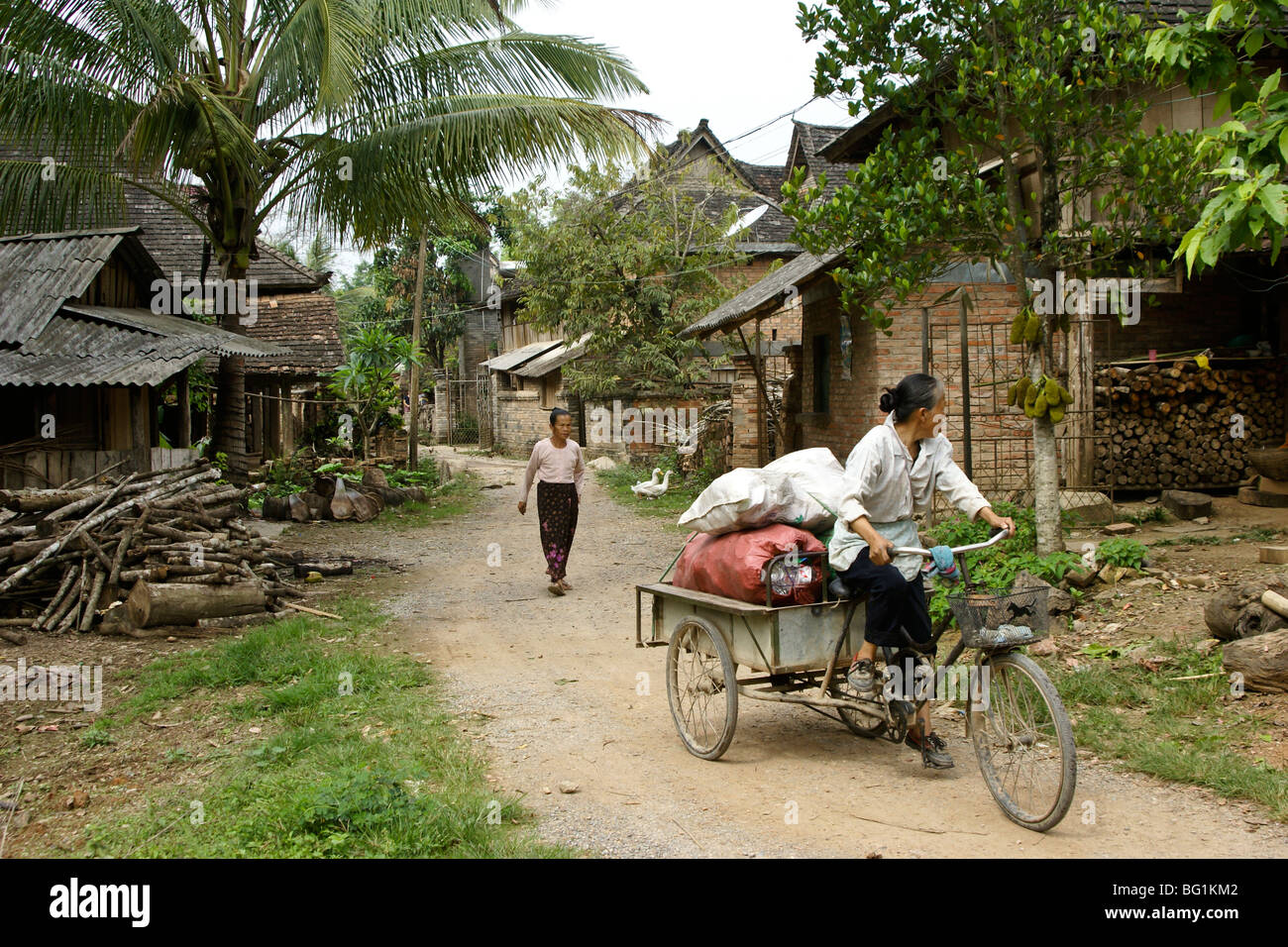 Traditional Shui Dai Village, Xishuangbanna, Yunnan, China Stock Photo ...