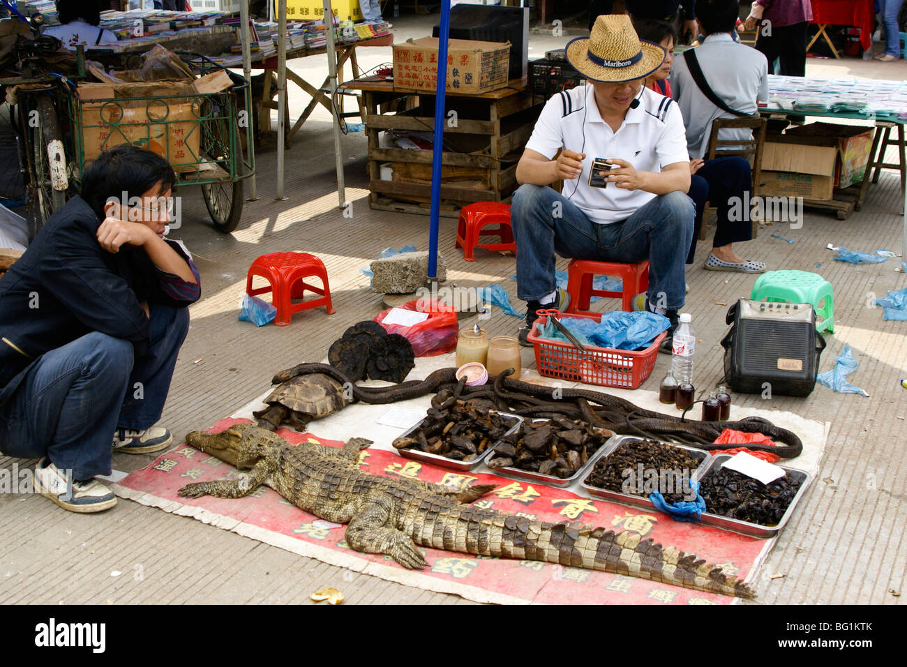 Asian wildlife market hi-res stock photography and images - Alamy