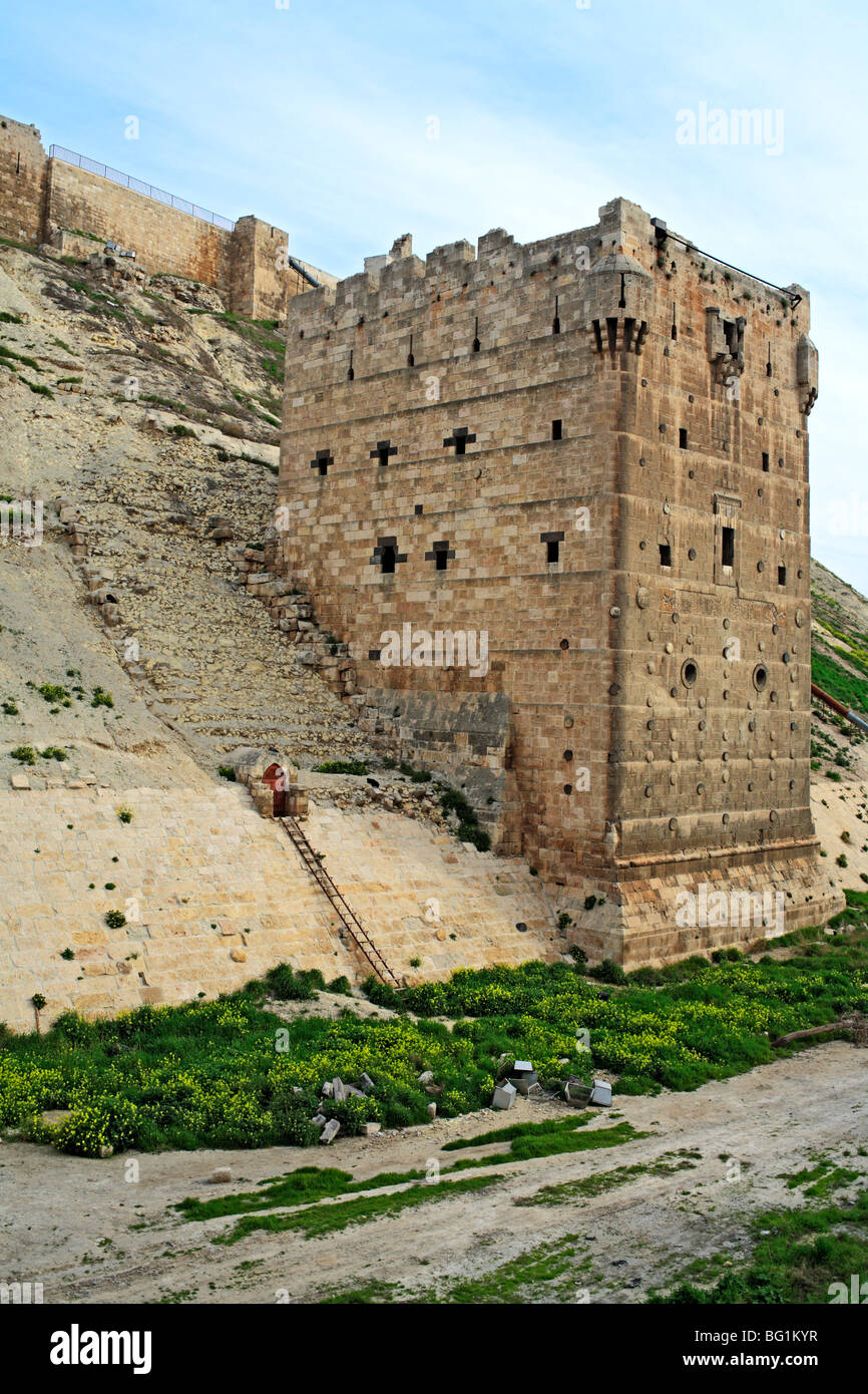 Aleppo Citadel, Syria Stock Photo - Alamy