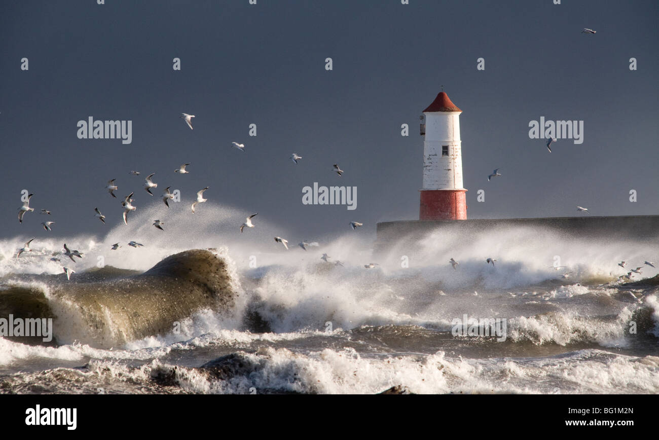 The lighthouse at Berwick upon Tweed, North Sea, in a storm. Stock Photo