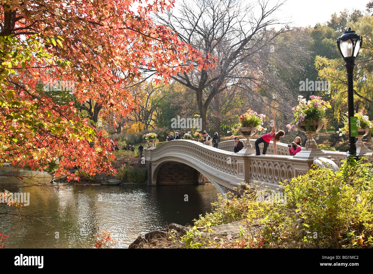 Historic Bow Bridge is a Landmark, Central Park, NYC, USA Stock Photo