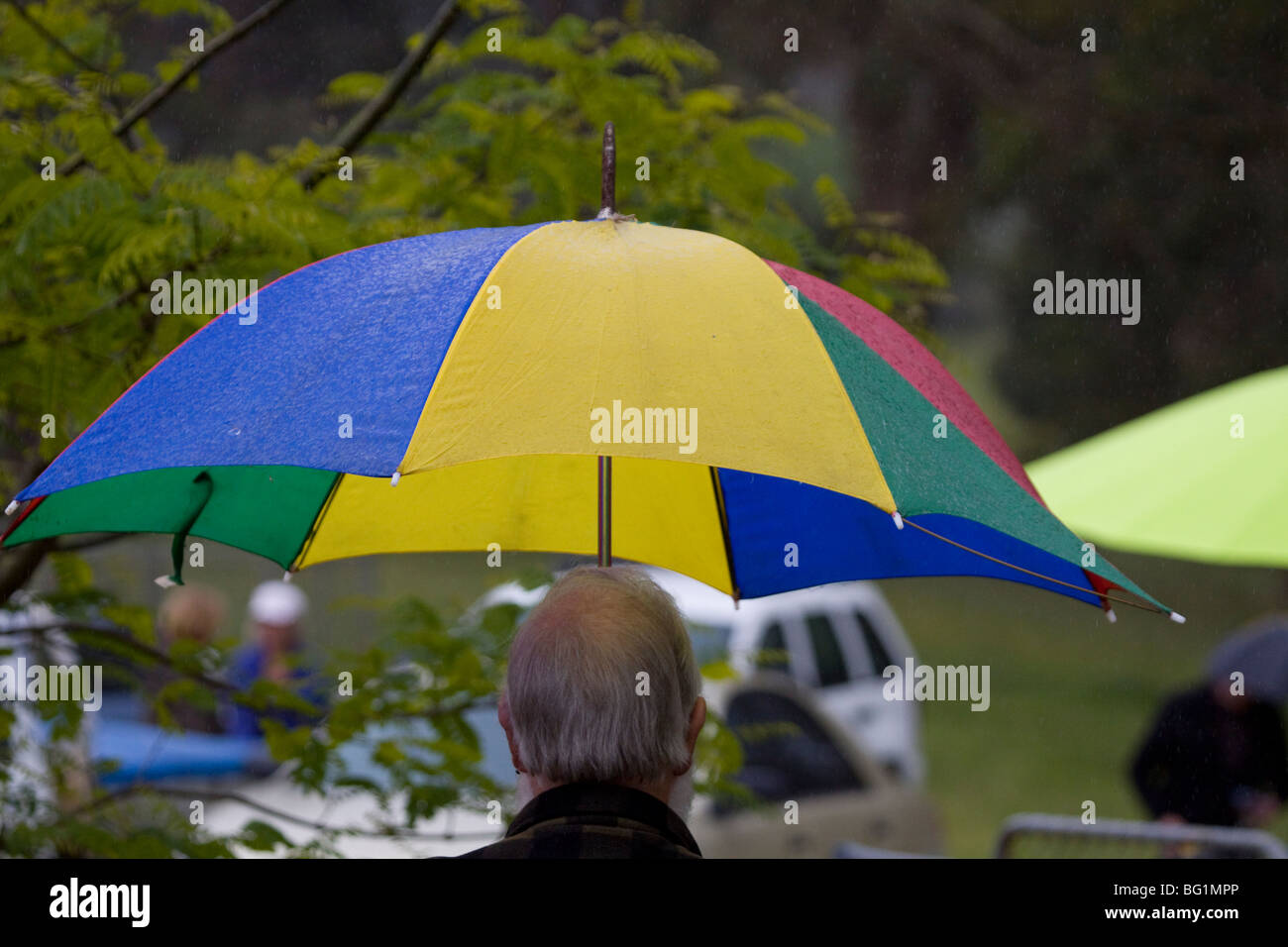Umbrellas in the rain Stock Photo Alamy
