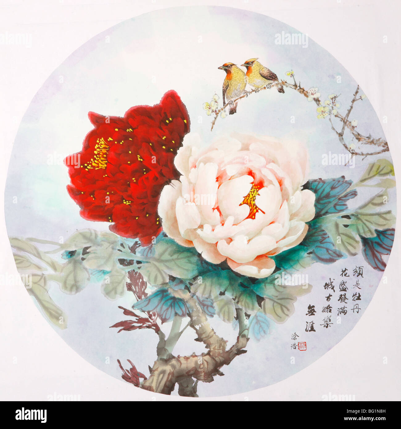 Peonies chinese outlet