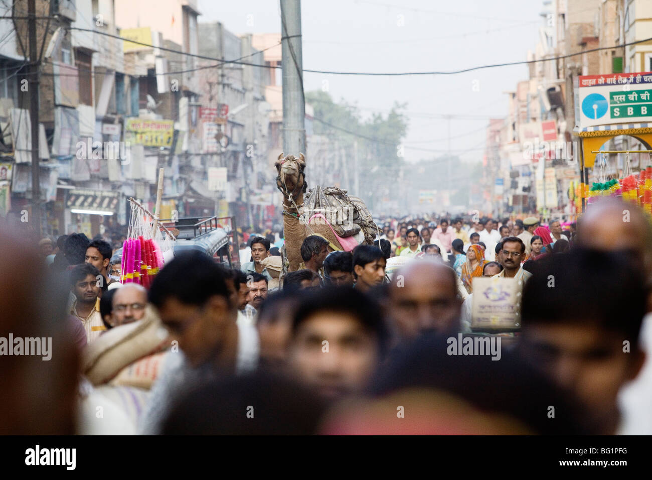 Camel cart in the centre of crowd in Bikaner, Rajasthan, India. Stock Photo