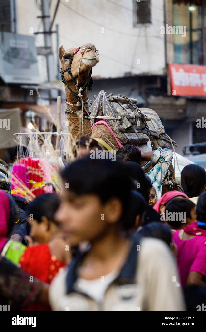 Camel cart in the centre of crowd in Bikaner, Rajasthan, India. Stock Photo