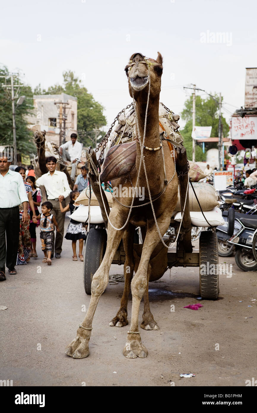 Use Camel Cart