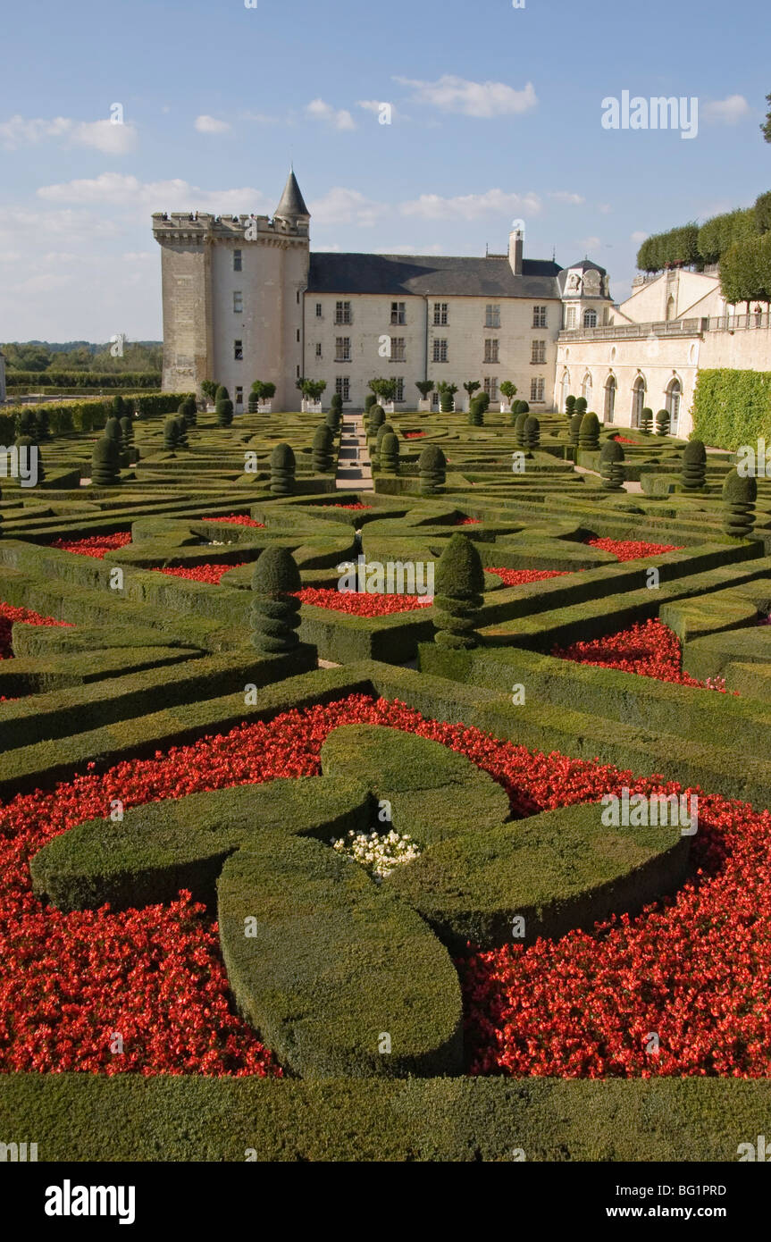 Part of the extensive ornamental flower and vegetable gardens, Chateau de Villandry, Indre-et-Loire, Loire Valley, France Stock Photo