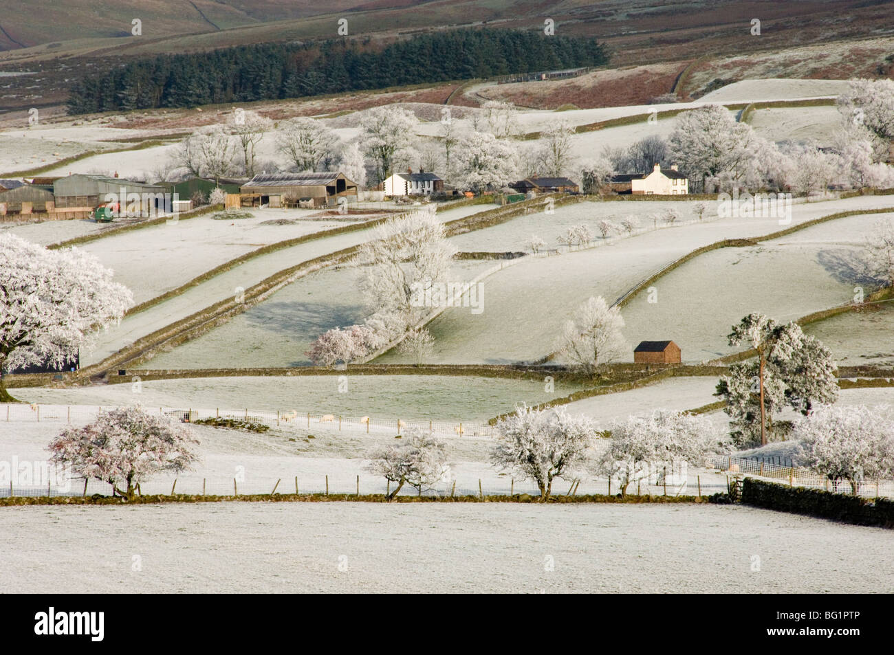Farm community, the Pennines in winter, Cumbria, England, United Kingdom, Europe Stock Photo
