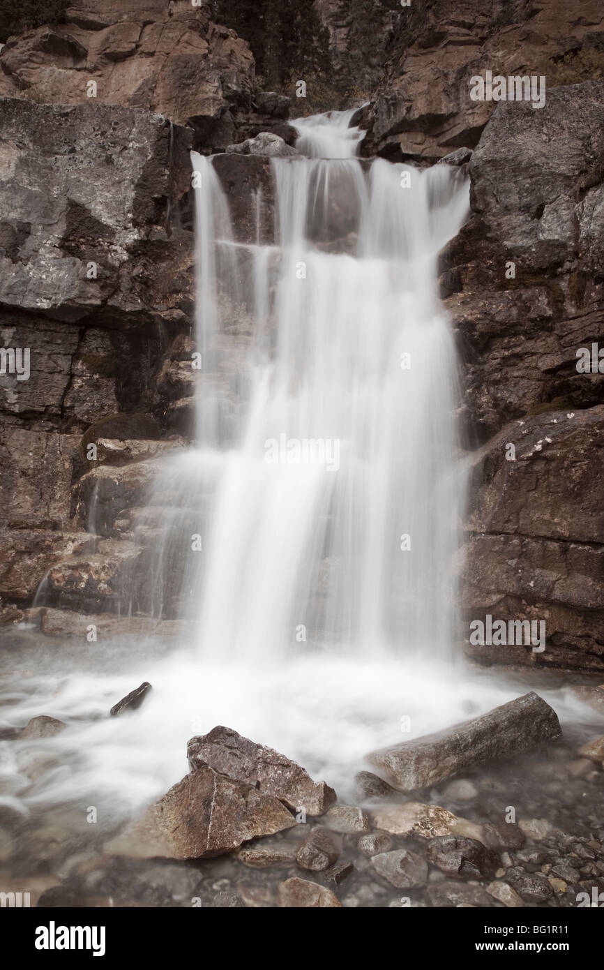 Tangle Falls in Alberta's, Jasper national park Stock Photo