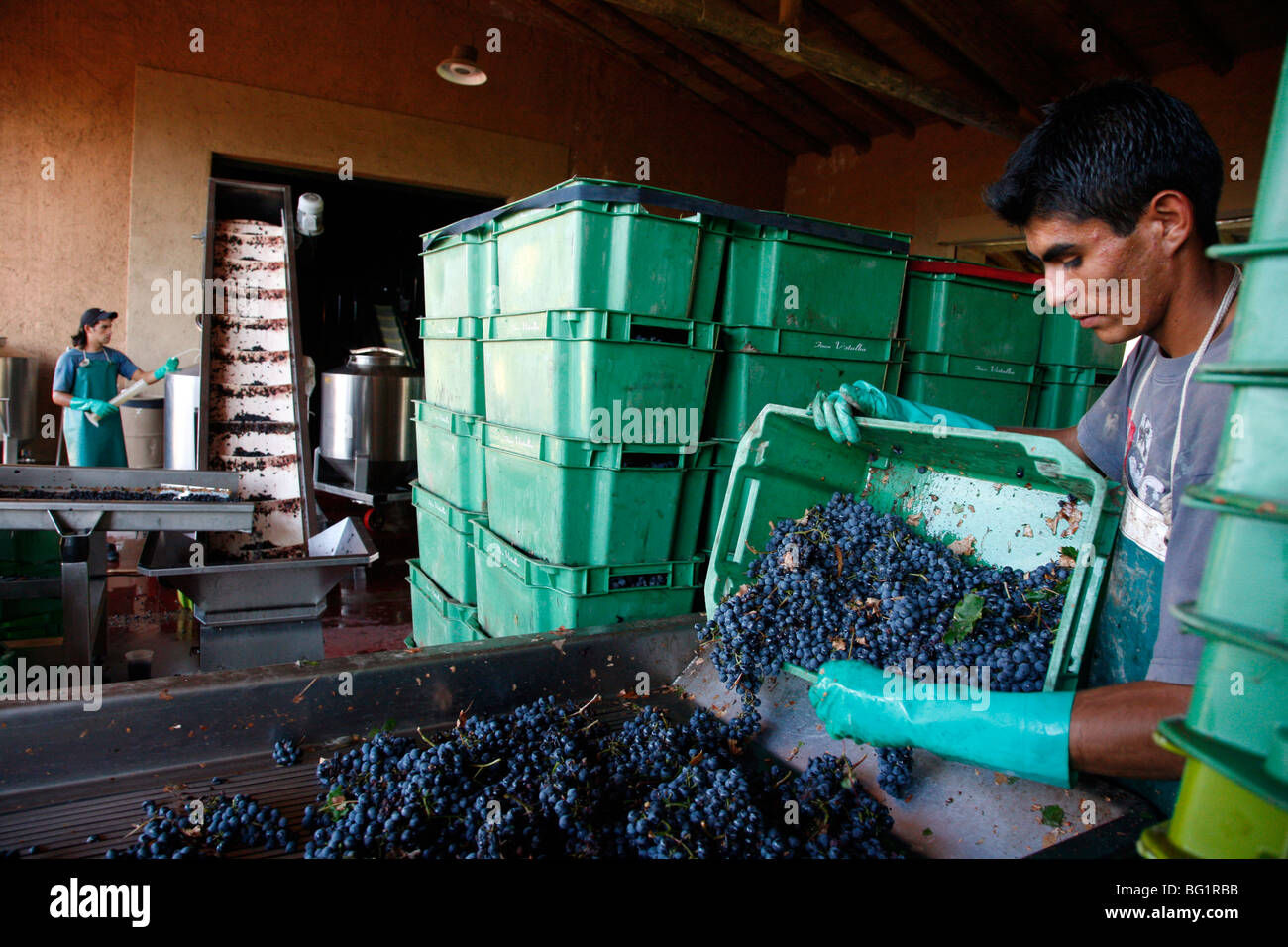 Crushing of grapes hires stock photography and images Alamy