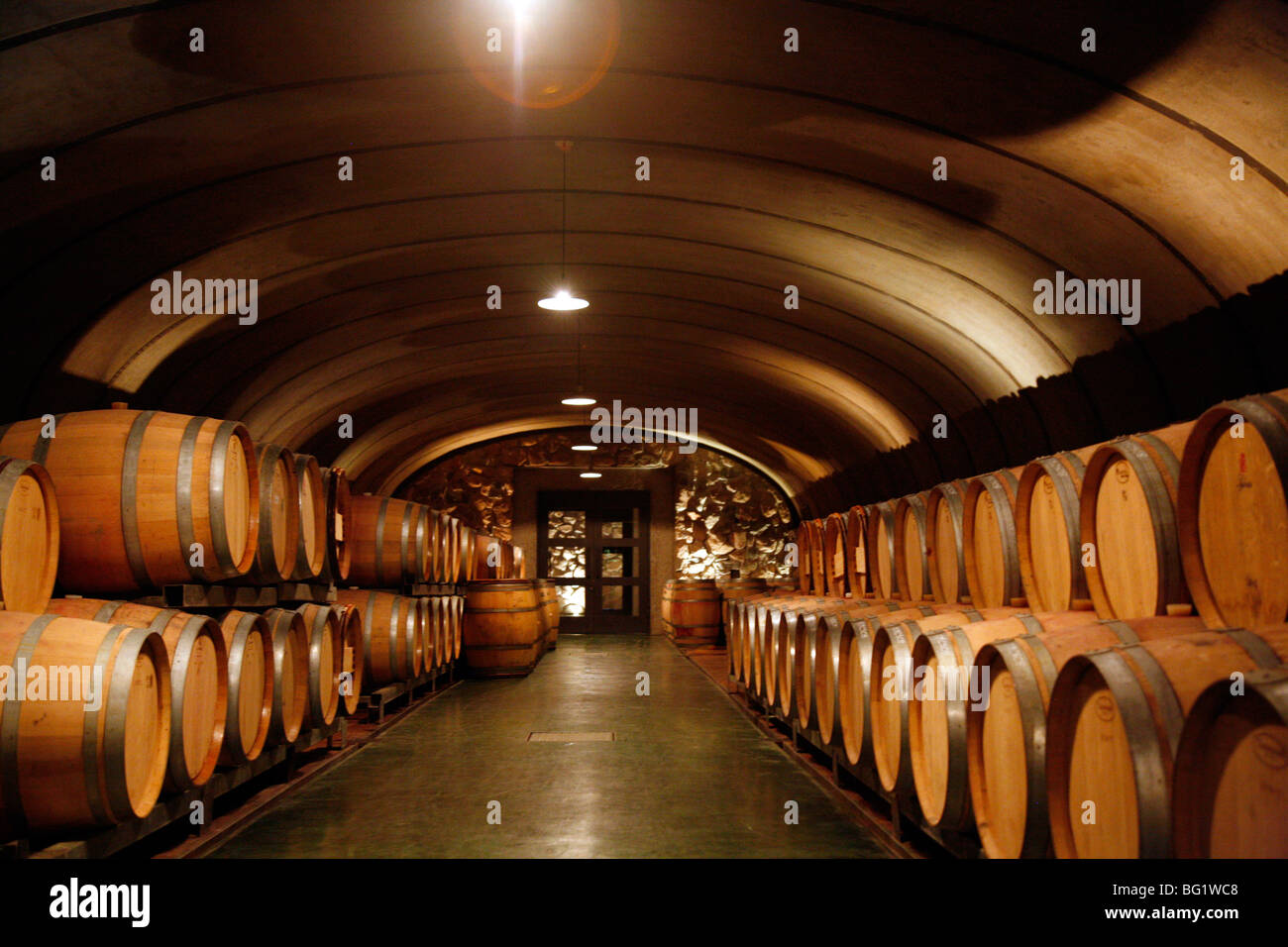 Wine cellar at the Vistalba Winery, Lujan de Coyu, Mendoza, Argentina, South America Stock Photo
