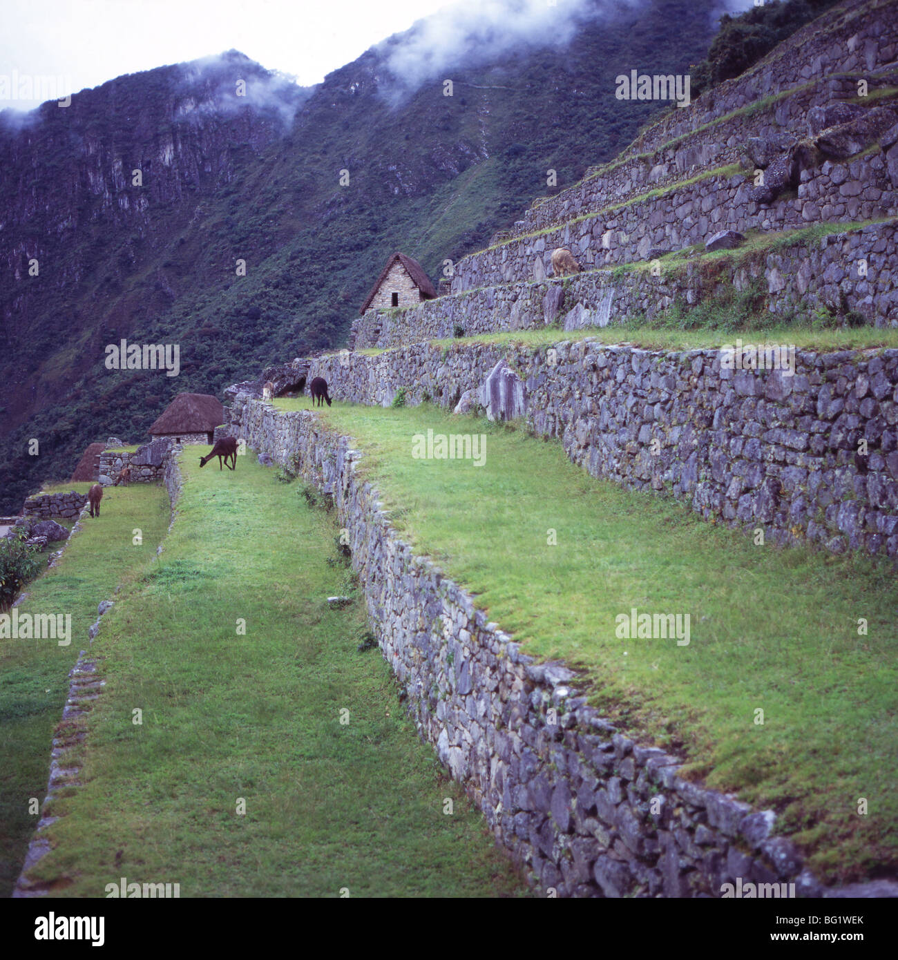 Machu picchu entrance hi-res stock photography and images - Alamy