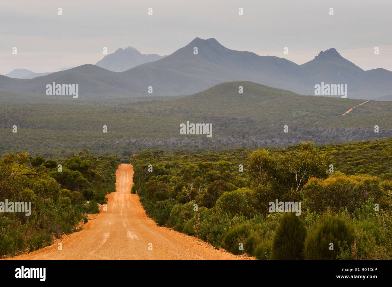 Gravel road, Stirling Range, Stirling Range National Park, Western Australia, Australia, Pacific Stock Photo