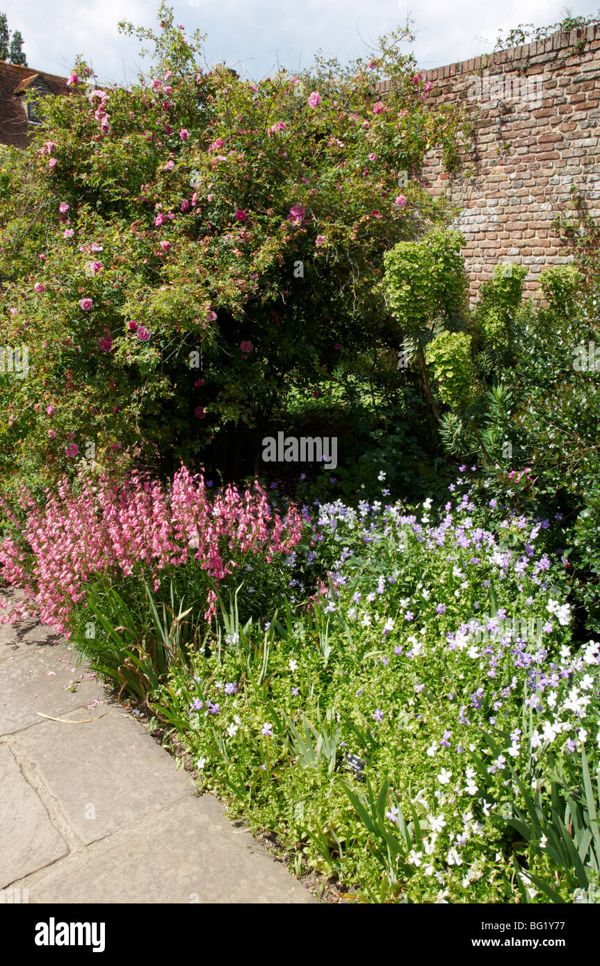 A view of garden flower beds in summer Stock Photo - Alamy