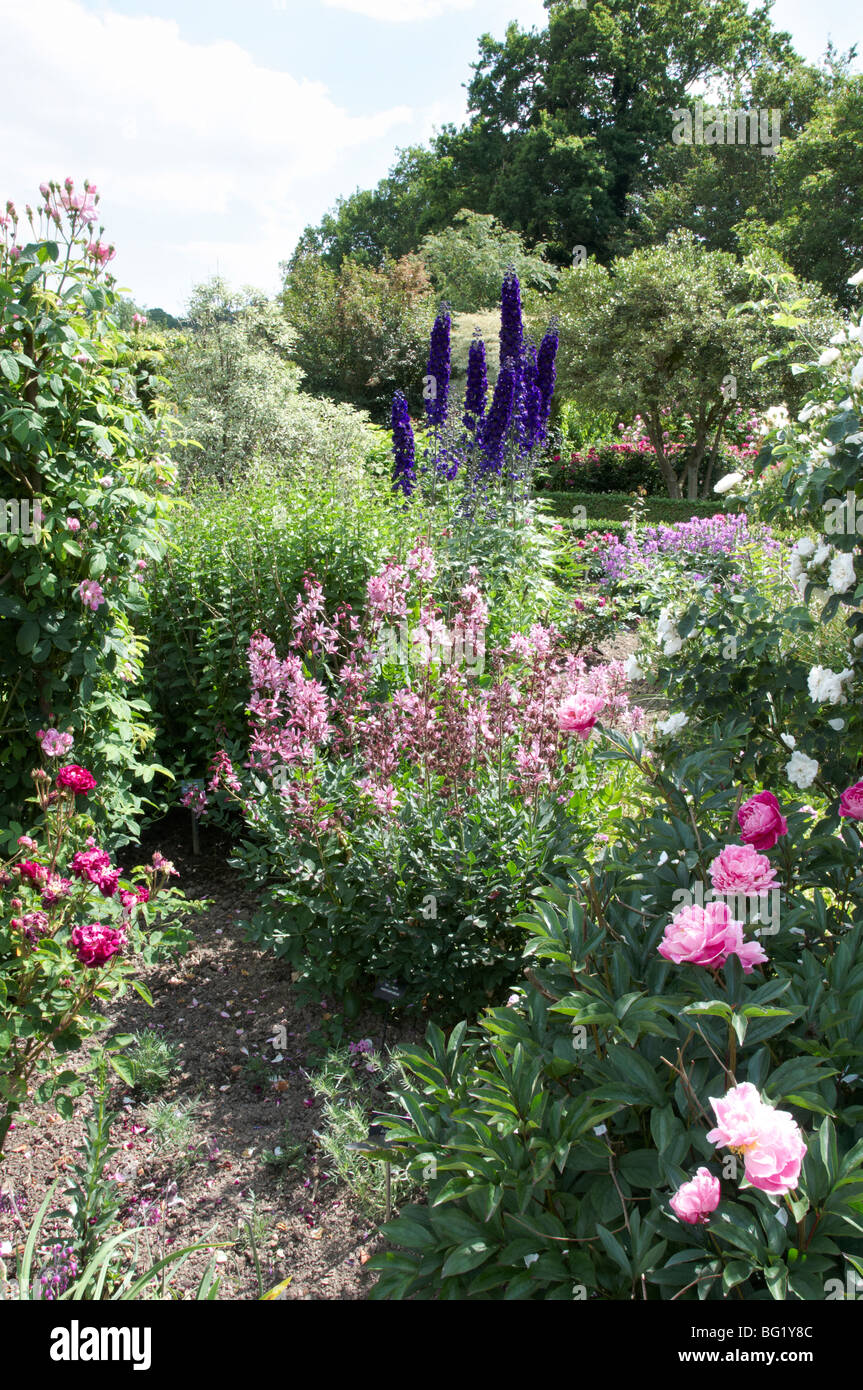 A view of garden flower beds in summer Stock Photo - Alamy