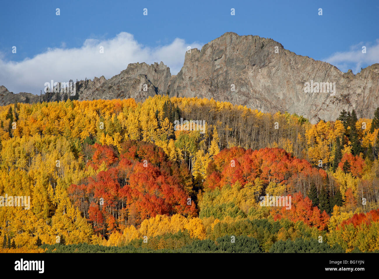 The Dyke with fall colors, Grand Mesa-Uncompahgre-Gunnison National Forest, Colorado, United States of America, North America Stock Photo