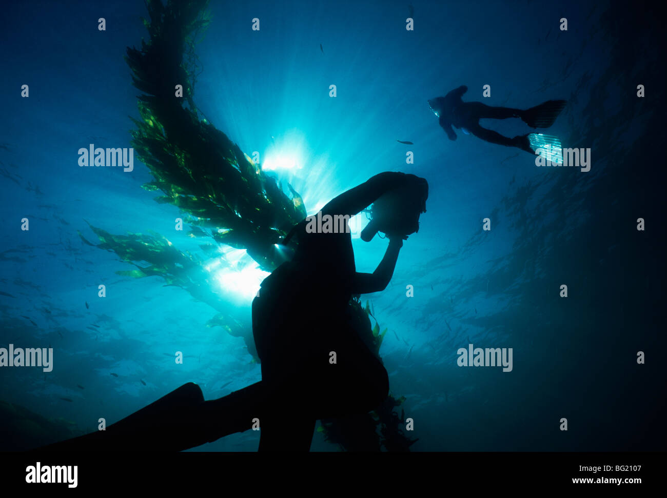 Father films daughter - both free diving. Anacapa Island, CA - Pacific ...