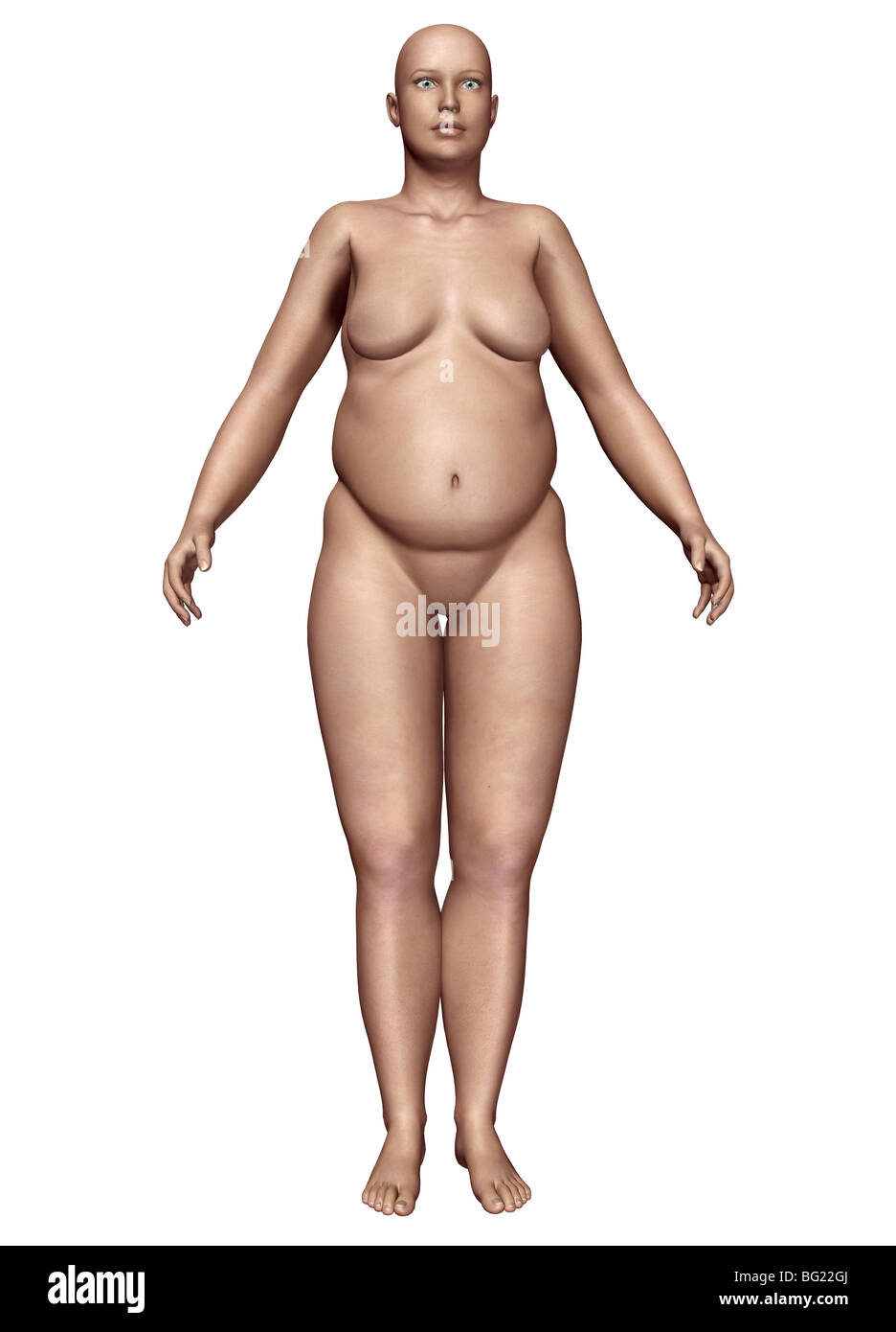 Female endomorph body type, illustration - Stock Image - F038/5688 -  Science Photo Library