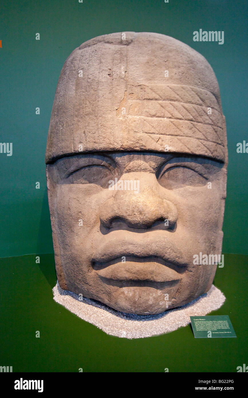 Olmec Colossal Head Sculpture National Museum of Anthropology Exhibit in Mexico City Stock Photo