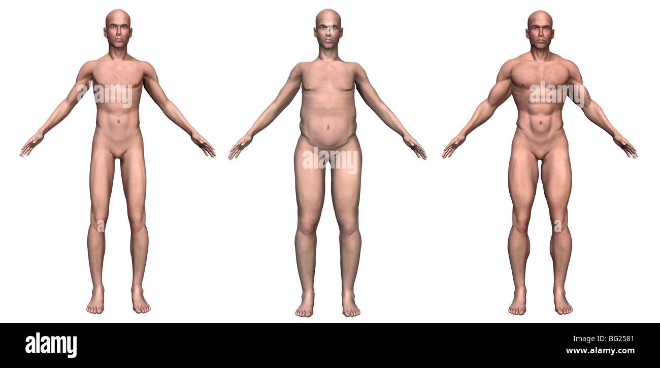 The Male Body Types: Ectomorph, Endomorph, Mesomorph