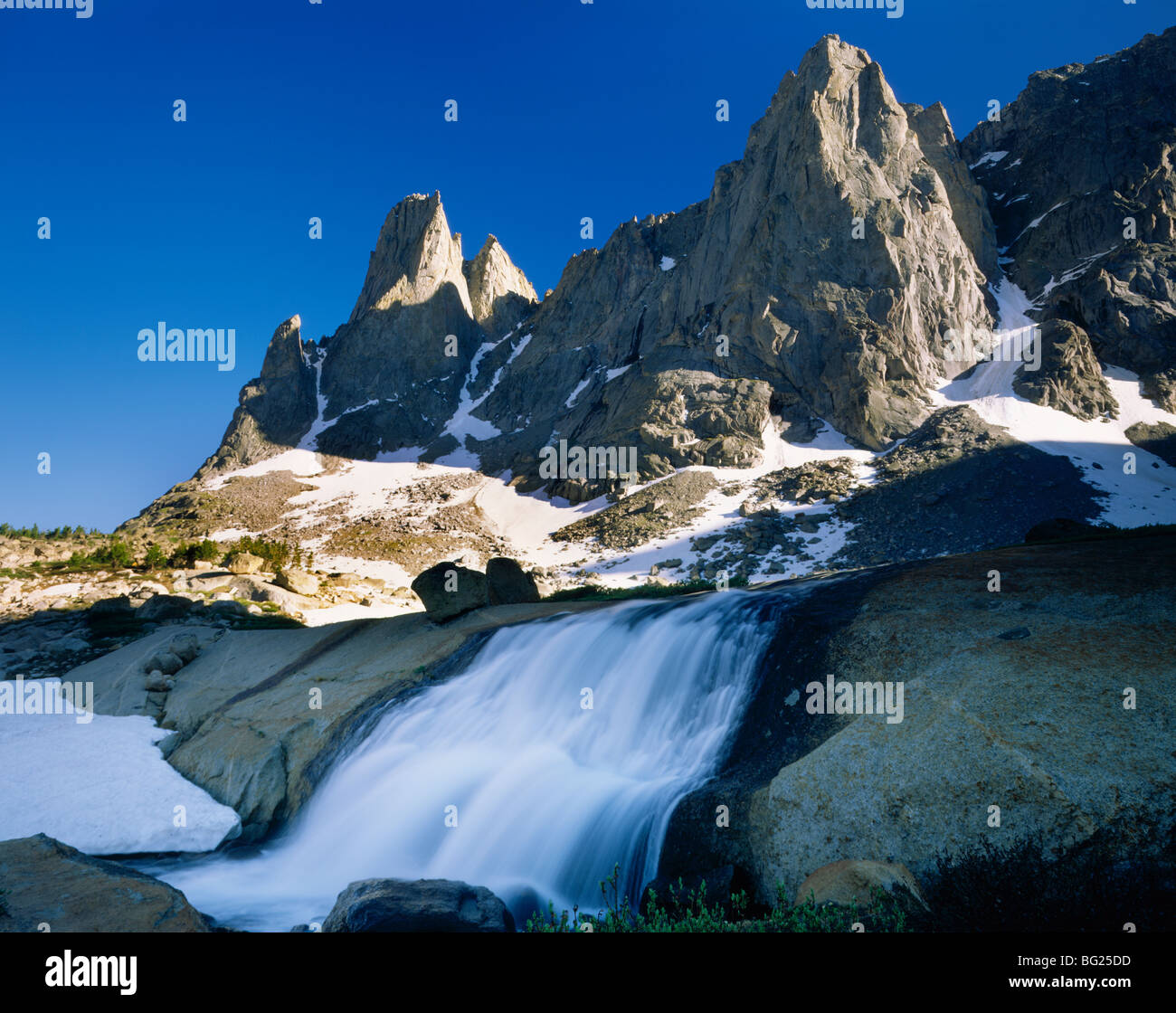 My Image 13