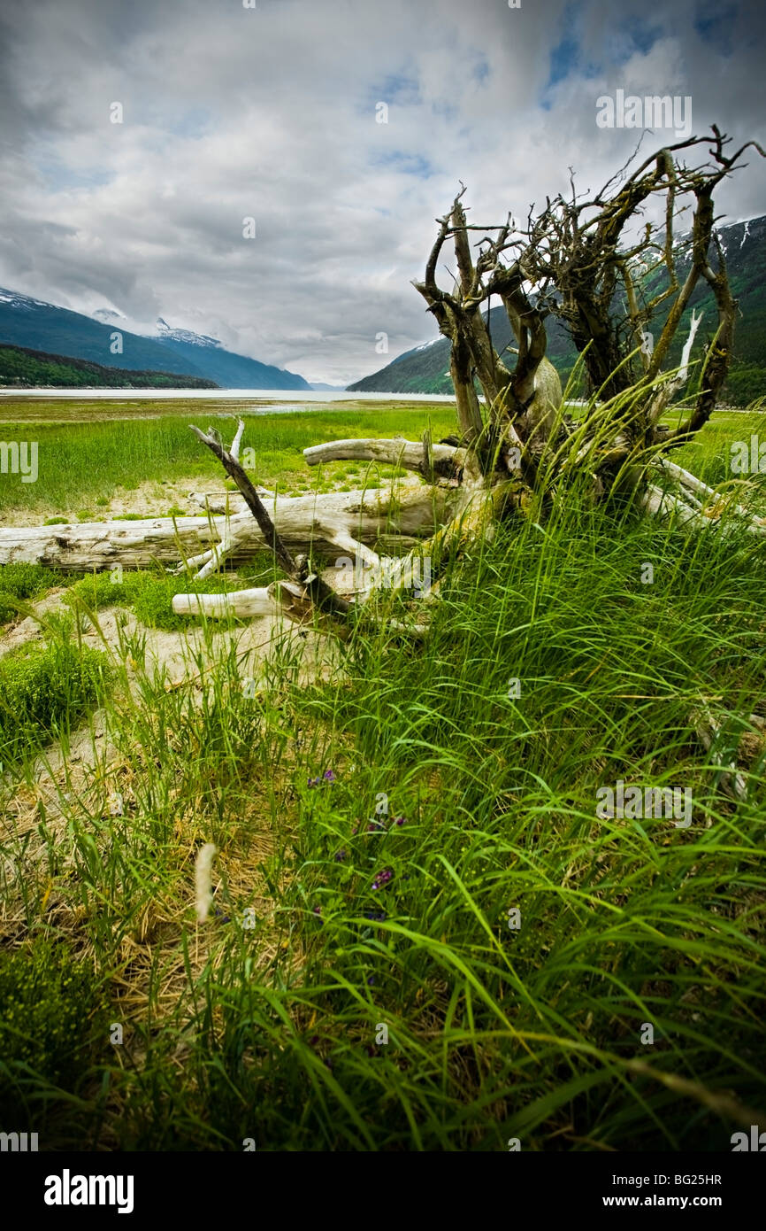 Dyea tidal flats, Skagway, Alaska Stock Photo