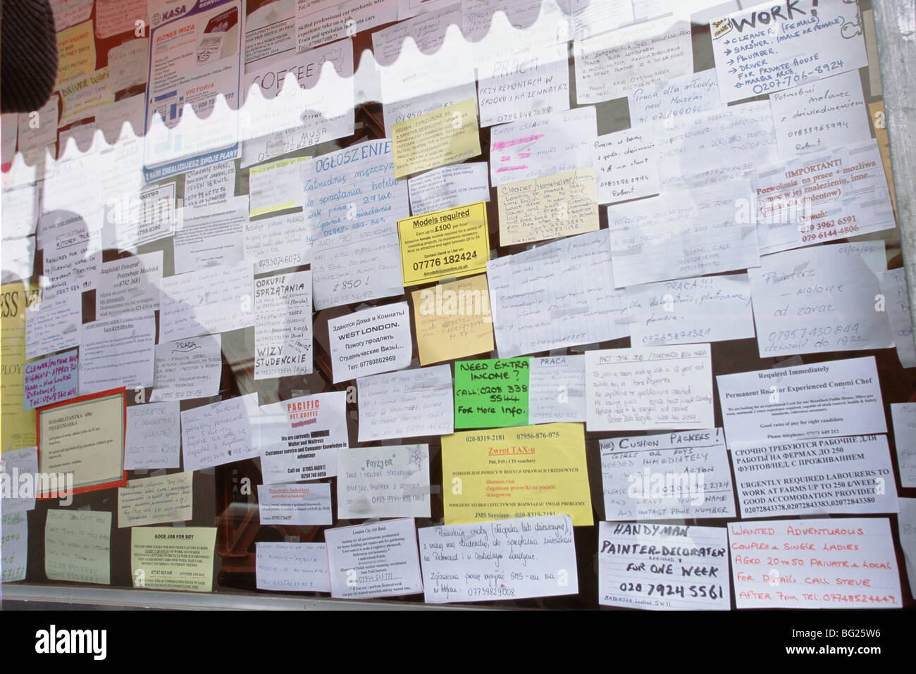 Polish migrant workers looking for work read job adverts in a Polish shop window in west London Stock Photo