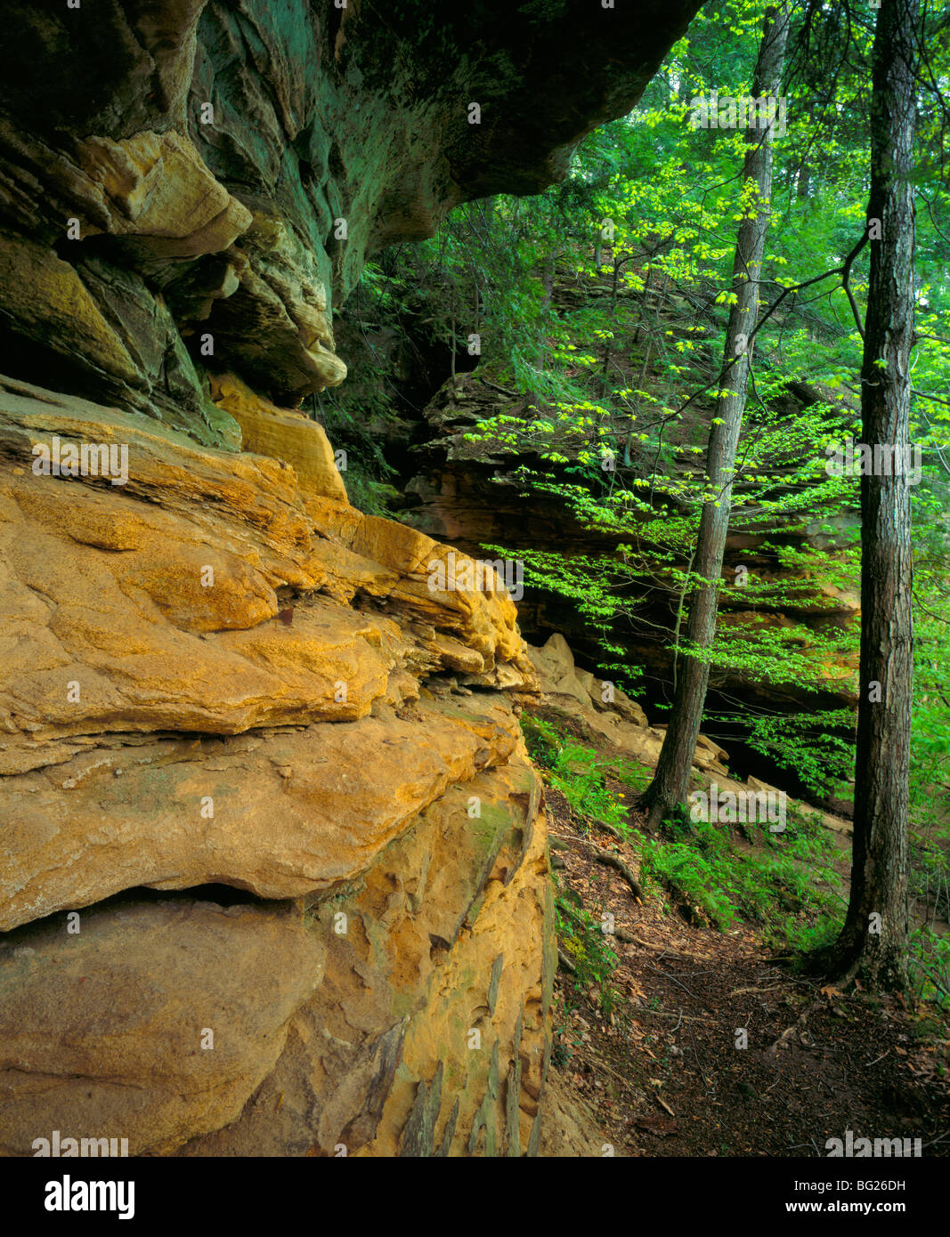 sandstone cliff at Devil's Icebox, Turkey Run State Park, Indiana Stock Photo