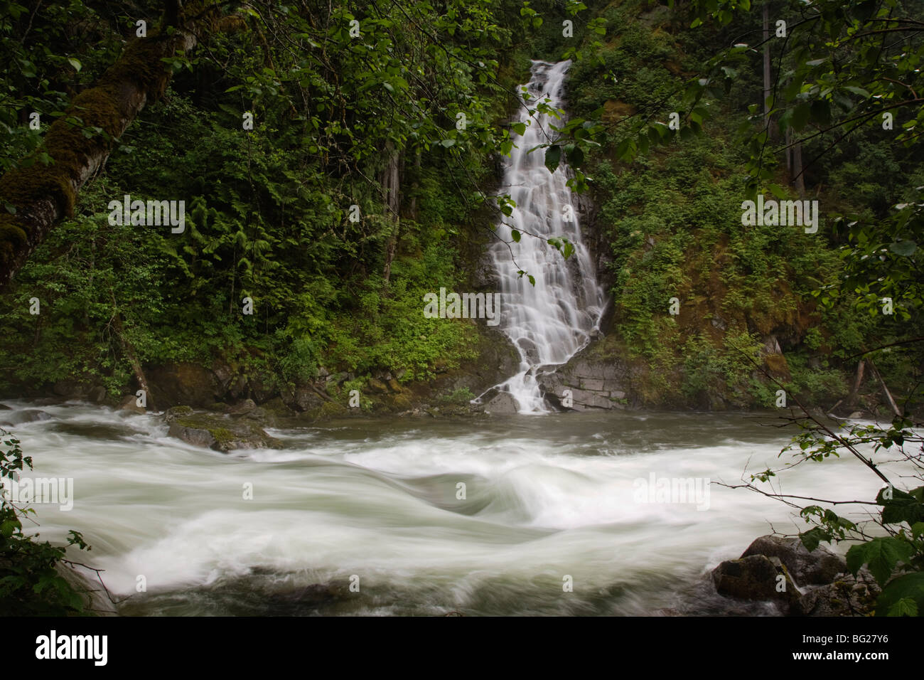 Eureka Falls cascades into the rushing waters of Silverhope Creek, British Columbia, Canada Stock Photo